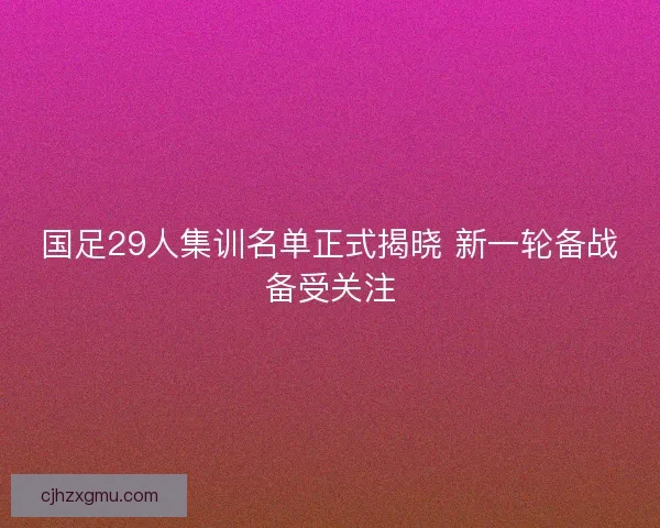 国足29人集训名单正式揭晓 新一轮备战备受关注