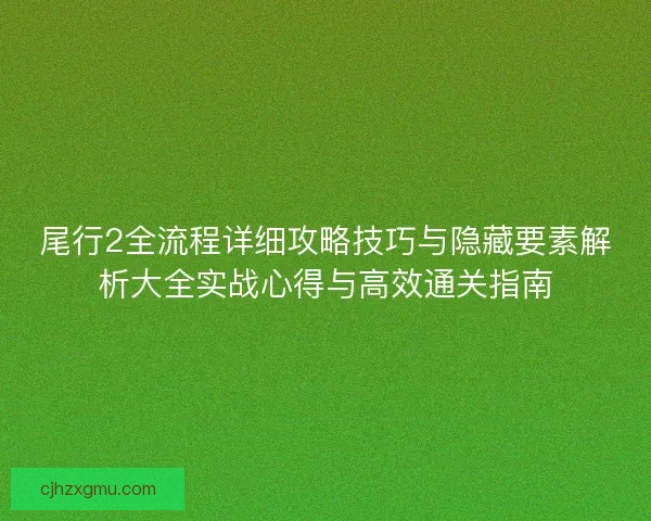 尾行2全流程详细攻略技巧与隐藏要素解析大全实战心得与高效通关指南